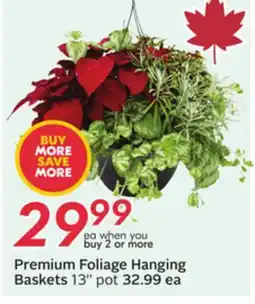 Sobeys 13'' pot offer