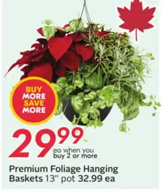 Sobeys 13'' pot offer