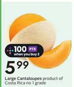 Sobeys Large Cantaloupes offer