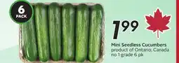 Sobeys Mini Seedless Cucumbers offer