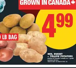 No Frills RED, RUSSET or YELLOW POTATOES, 10 lb bag offer