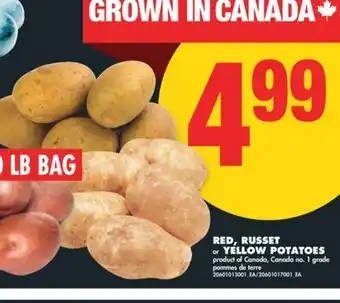No Frills RED, RUSSET or YELLOW POTATOES, 10 lb bag offer