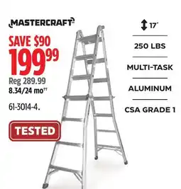 Canadian Tire MASTERCRAFT Ladder offer