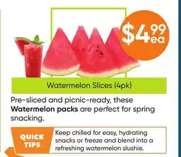 Healthy Planet Watermelon Slices offer