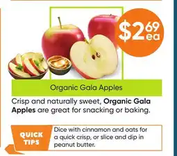 Healthy Planet Organic Gala Apples offer