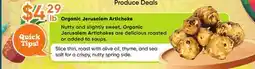 Healthy Planet Organic Jerusalem Artichoke offer