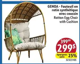 Sushi Shop Rattan Egg Chair with Cushion offer