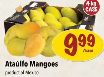 Farm Boy Ataúlfo Mangoes offer
