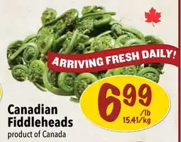Farm Boy Canadian Fiddleheads offer