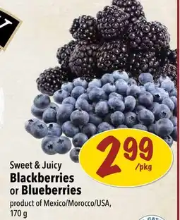 Farm Boy Sweet & Juicy Blackberries or Blueberries offer