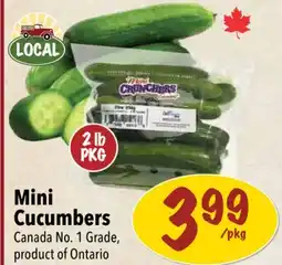 Farm Boy Mini Cucumbers offer