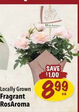 Farm Boy Locally Grown Fragrant RosAroma offer