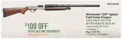 Cabela's Winchester SXP Upland Field Pump Shotgun offer