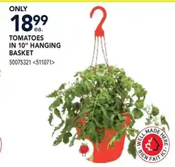 RONA TOMATOES IN 10 HANGING BASKET offer