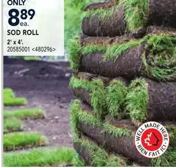 RONA 2' x 4' SOD ROLL offer