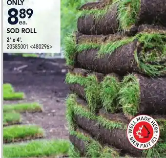 RONA 2' x 4' SOD ROLL offer