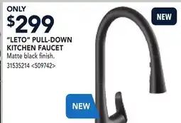 RONA LETO PULL-DOWN KITCHEN FAUCET offer