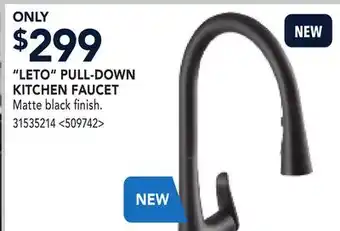 RONA LETO PULL-DOWN KITCHEN FAUCET offer