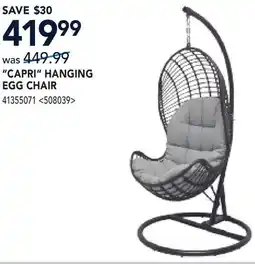 RONA CAPRI HANGING EGG CHAIR offer