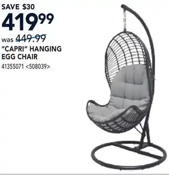RONA CAPRI HANGING EGG CHAIR offer