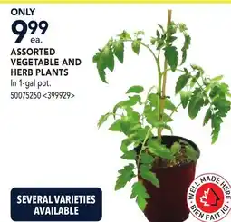 RONA ASSORTED VEGETABLE AND HERB PLANTS offer