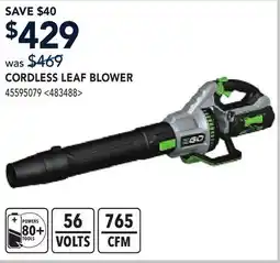 RONA CORDLESS LEAF BLOWER offer