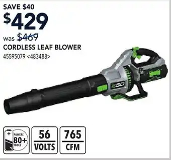 RONA CORDLESS LEAF BLOWER offer