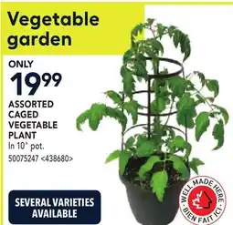 RONA ASSORTED CAGED VEGETABLE PLANT offer