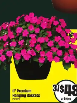 FreshCo 11 Premium Hanging Baskets offer