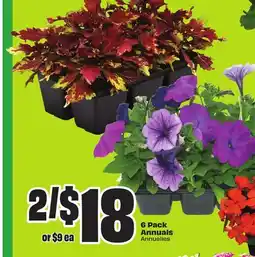 FreshCo 6 Pack Annuals offer