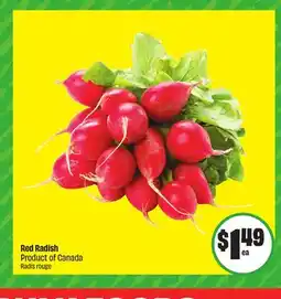 FreshCo Red Radish Product of Canada offer