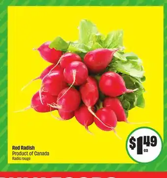 FreshCo Red Radish Product of Canada offer