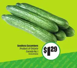 FreshCo Seedless Cucumbers Product of Ontario Canada No. 1 offer