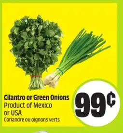 FreshCo Cilantro or Green Onions Product of Mexico or USA offer