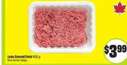 FreshCo Lean Ground Pork 450 g offer