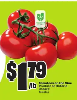 FreshCo Tomatoes on the Vine Product of Ontario 3.95/kg offer