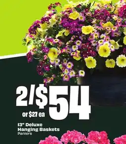 FreshCo 13 Deluxe Hanging Baskets offer