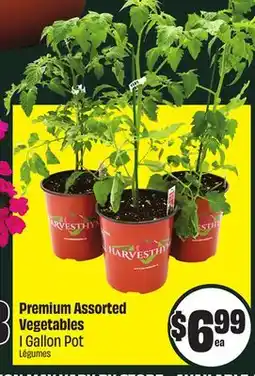 FreshCo Premium Assorted Vegetables 1 Gallon Pot offer