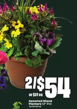FreshCo Assorted Mixed Planters 13 Pot offer