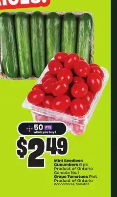 Chalo FreshCo Mini Seedless Cucumbers 6 pk Product of Ontario Canada No. 1 Grape Tomatoes Pint Product of Ontario offer