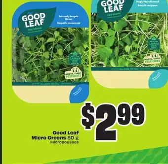 Chalo FreshCo Good Leaf Micro Greens 50 g offer