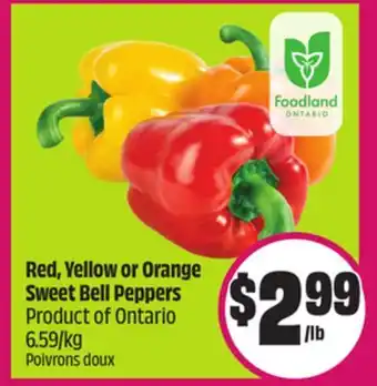 Chalo FreshCo Red, Yellow or Orange Sweet Bell Peppers Product of Ontario 6.59/kg offer