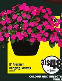 Chalo FreshCo 11 Premium Hanging Baskets offer