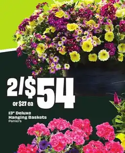 Chalo FreshCo 13 Deluxe Hanging Baskets offer