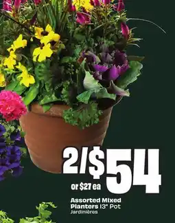 Chalo FreshCo Assorted Mixed Planters 13 Pot offer