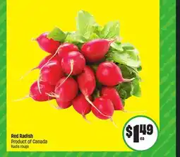 Chalo FreshCo Red Radish Product of Canada Radis offer
