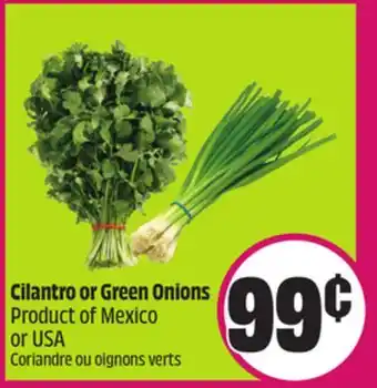 Chalo FreshCo Cilantro or Green Onions Product of Mexico or USA offer