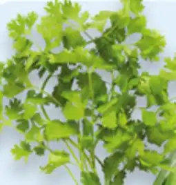 Walmart Cilantro offer