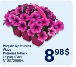 Walmart Petunias 6-Pack offer