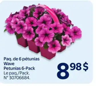 Walmart Petunias 6-Pack offer